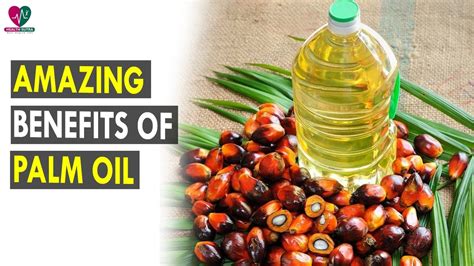 health benefits of palm oil.